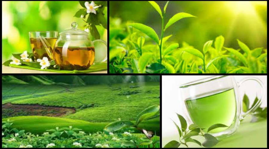 Enjoy a cup of our high quality tea, sourced from lush, green tea plantations all over the world.