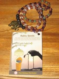 Raktu Seeds