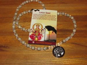 Lotus Seeds