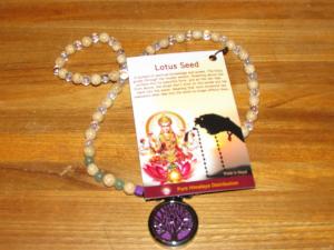 Lotus seeds