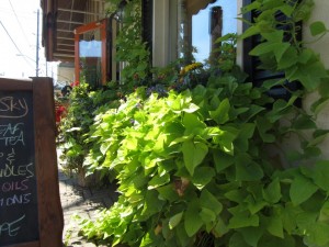 Tea Earth and Sky Exterior